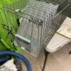 Havahart Large 2-door animal trap - Image 2