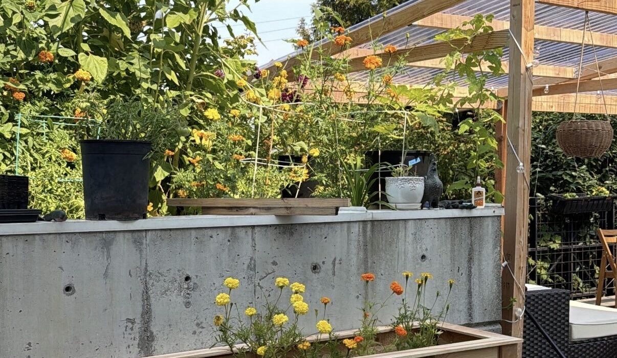 A wooden garden bed with a couple of flowers in it.