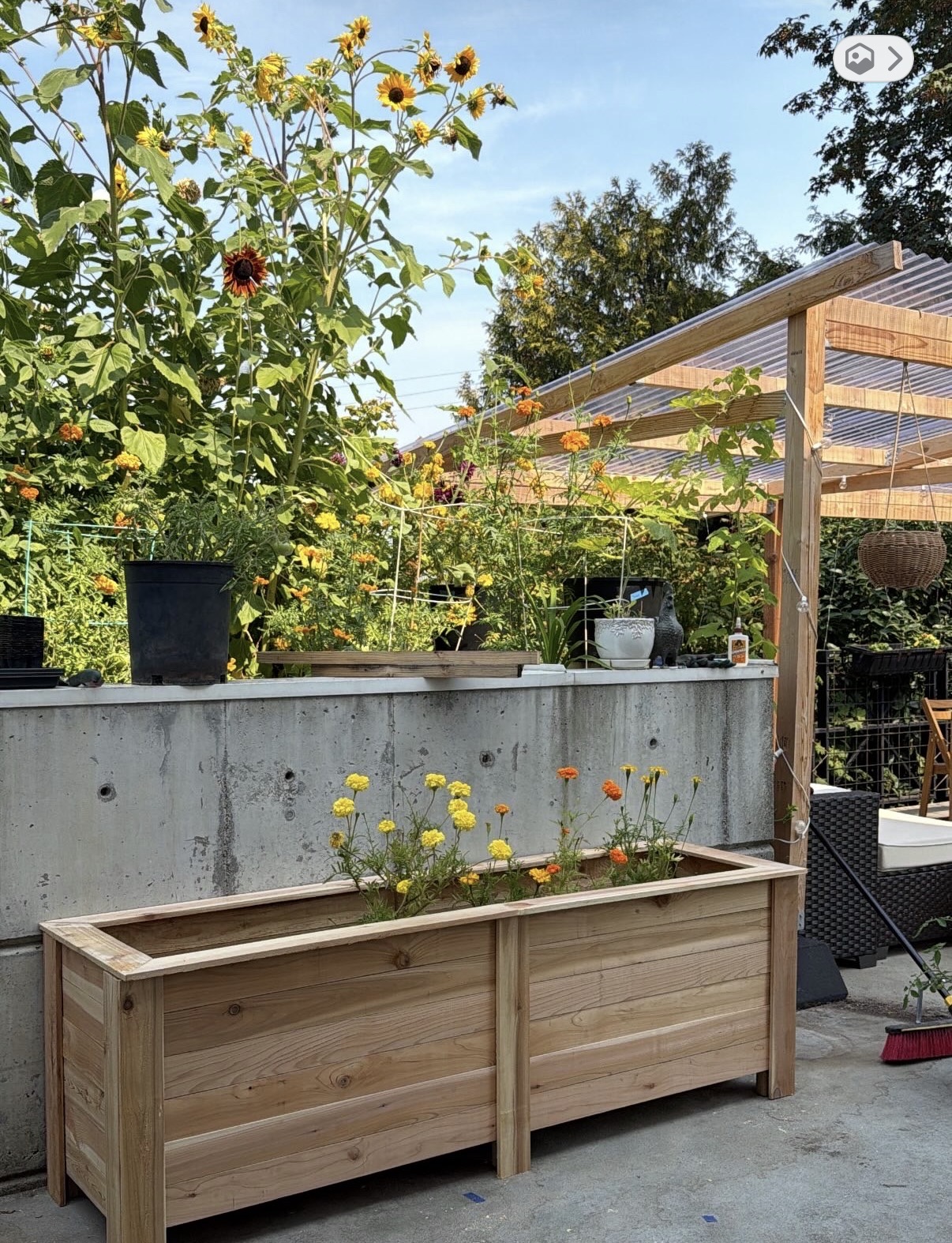 A wooden garden bed with a couple of flowers in it.